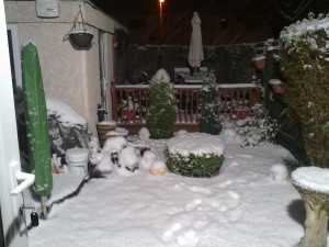 snow snow snow We needed this 2 weeks ago