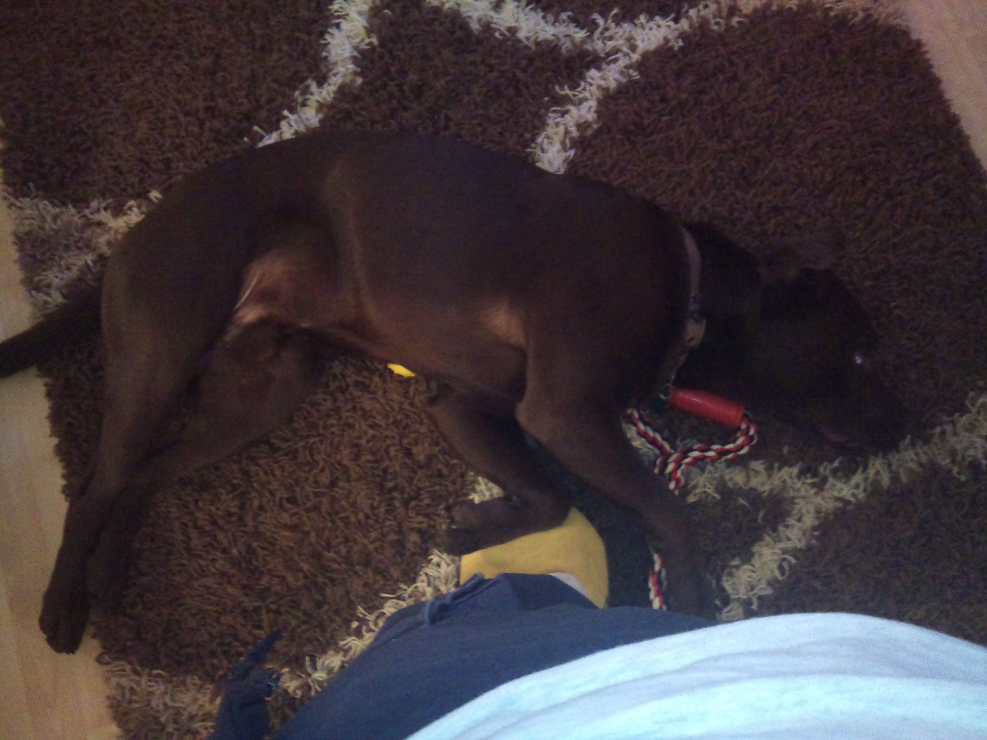 I'm knackered now after a 3 mile walk...