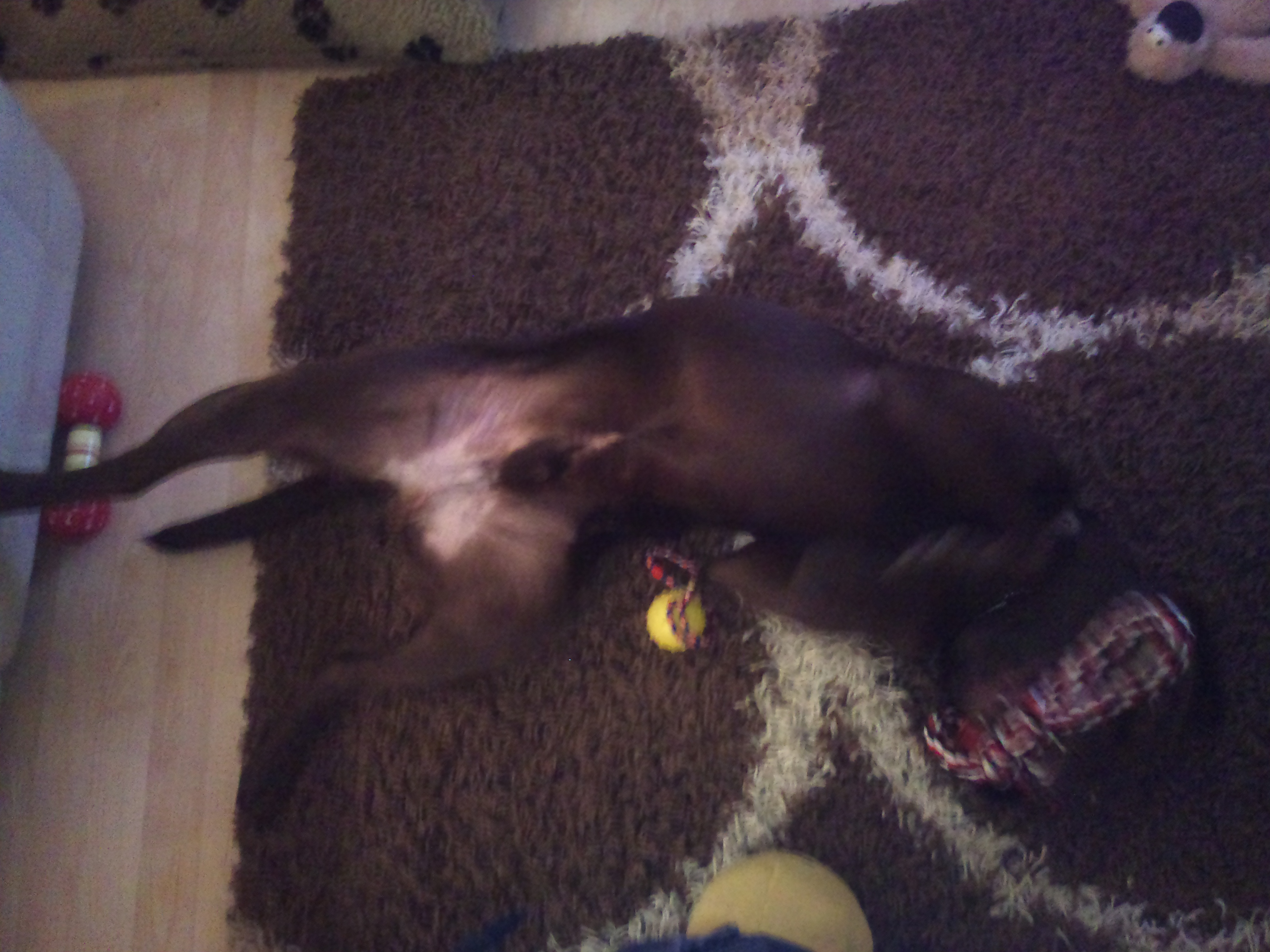 Showing my belly