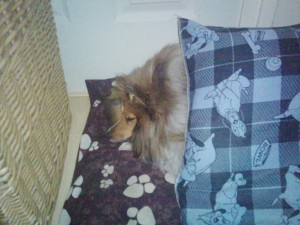 Amy with 2 beds !
