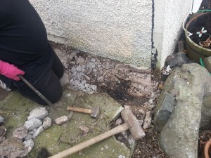 Having a smashing time...